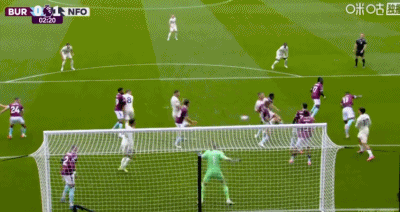 net, wg, gif net, wg, gif