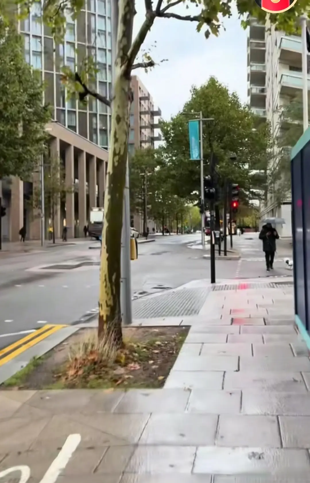 国乒新动态, amp 国乒新动态, amp